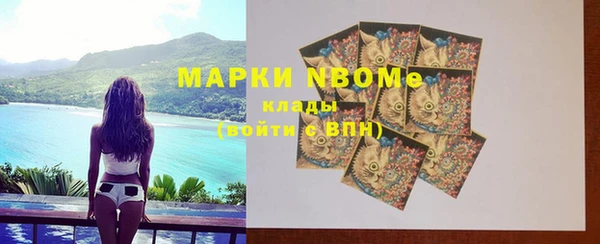 индика Пестово
