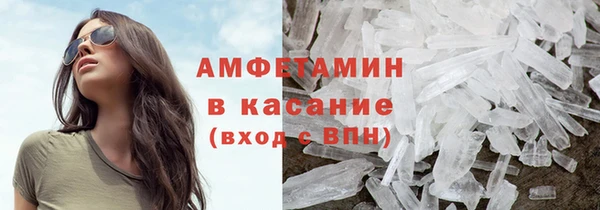 индика Пестово