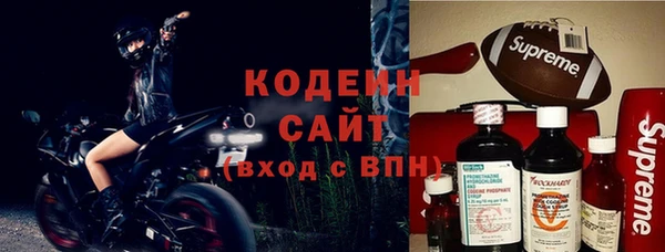 индика Пестово