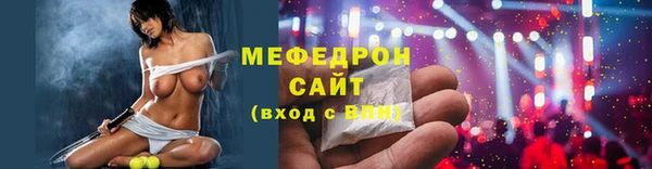 индика Пестово