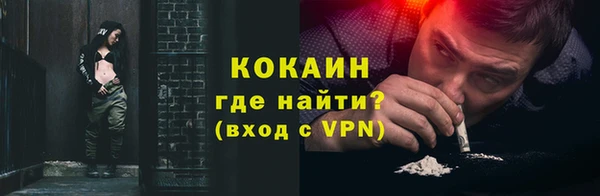 индика Пестово