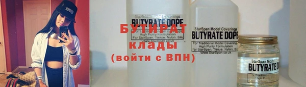 индика Пестово