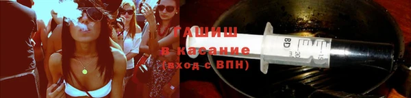 индика Пестово