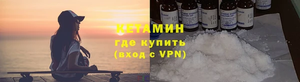индика Пестово