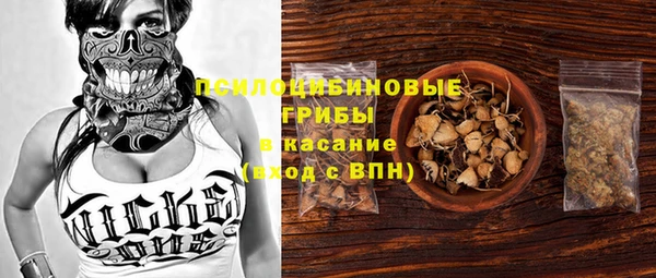 стаф Михайловск