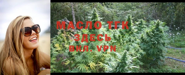 индика Пестово