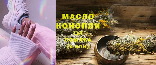 индика Пестово