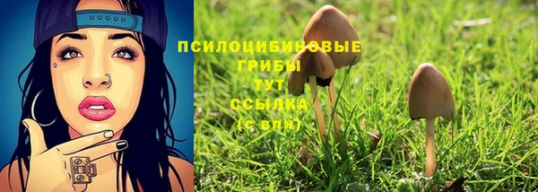 соль курить ск Надым