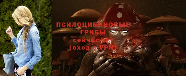 гидропоника Наволоки