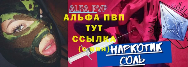 индика Пестово