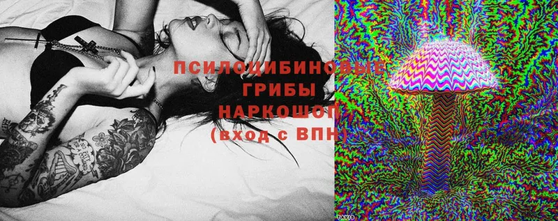 blacksprut   Ноябрьск  Псилоцибиновые грибы прущие грибы 