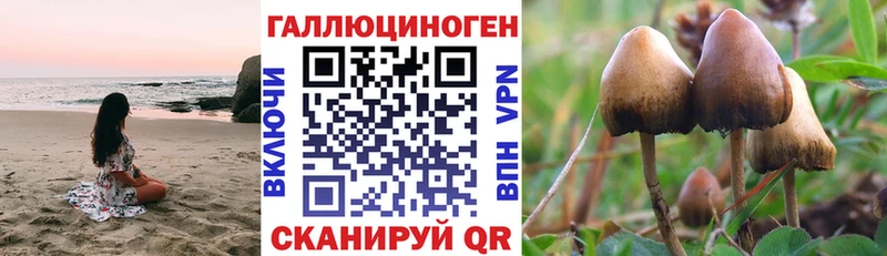 Галлюциногенные грибы мухоморы  как найти закладки  Ноябрьск 
