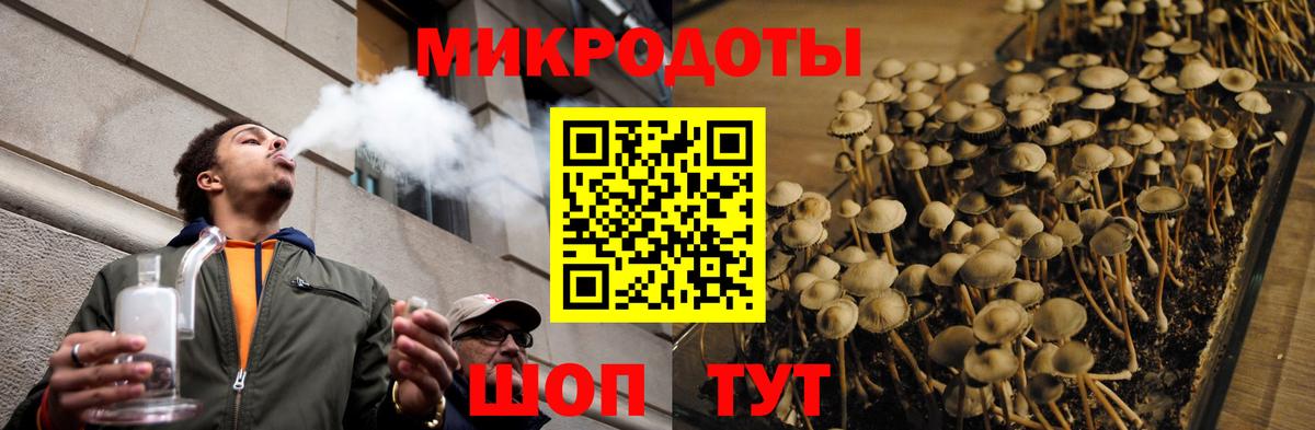 Галлюциногенные грибы Psilocybine cubensis  Вход с VPN  Ноябрьск  Галлюциногенные грибы Cubensis 